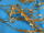 Fém szál - farkasafog (arany, ó arany, ezust, bronz)