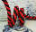 Braided cord