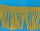 Fringe
